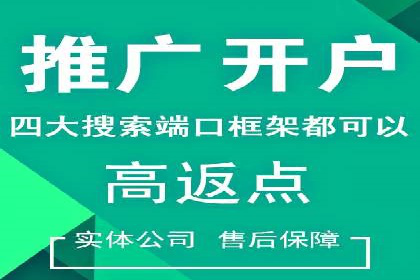 SEM托管服务，案例分享转化成果