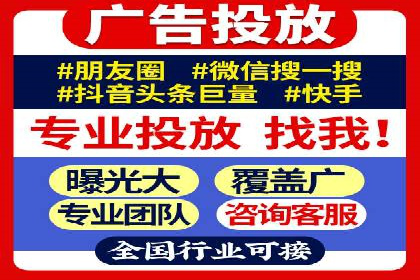 谷歌SEM案例研究：数据分析与效果评估